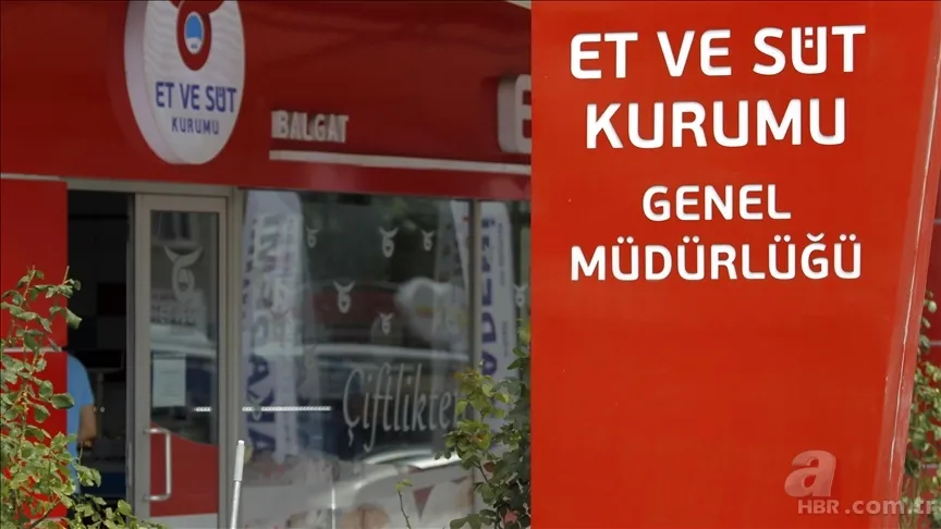 Et ve Süt Kurumu İstanbul'da KPSS şartsız alım yapıyor! Şartlar ve İŞKUR başvuru ekranı... 1