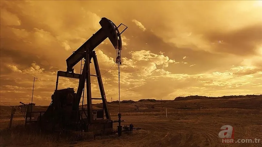 Gabar'dan sonra gözler Van'da! Petrol arama çalışmalarına ramak kaldı! Tarihi kaynaklar büyük heyecan yarattı 1