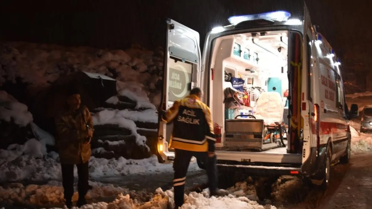 Bitlis'te ekipler 7 aylık bebek için seferber oldu