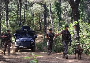 O ilimizde ormanlara girmek yasaklandı!