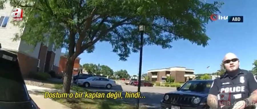 Eve giren firari vahşi hindi ortalığı birbirine kattı! ABD polisinden "özel hindi operasyonu" 2