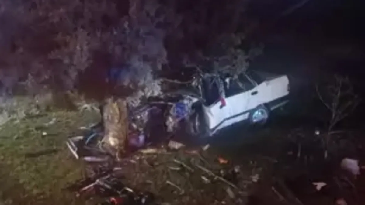 Balıkesir'de otomobil yol kenarındaki ağaca çarptı: 1 ölü