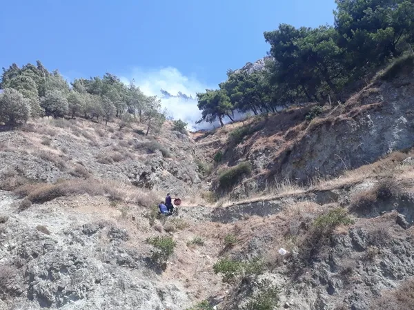 son-dakika-hatayda-makilik-alanda-orman-yangini-1659276550629.jpg Son dakika: Hatay’da makilik alanda orman yangını - 1