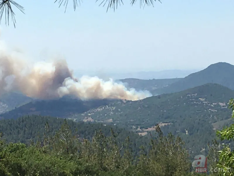 Balıkesir Kepsut'ta orman yangını! Havadan ve karadan müdahale ediliyor 3