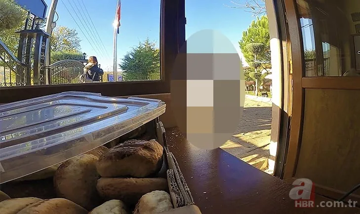 Her gün poğaçalar eksiliyordu! Bakın hırsız kim çıktı? Ne bulsa midesine indiriyor 1