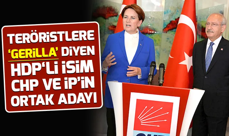 Teröristlere gerilla diyen HDPli Celal Doğan CHP ve İP’in ortak adayı