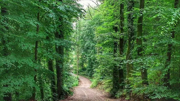 Mangal yapmak yasak mı? İstanbul ve Ankara'da mangal yasağı kalktı mı? Hafta sonu mangal yasak mı? - 4