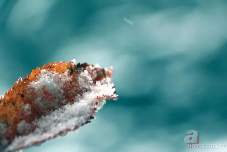 Kocaeli ve Bolu'nun yüksek kesimlerine ilk kar düştü 13
