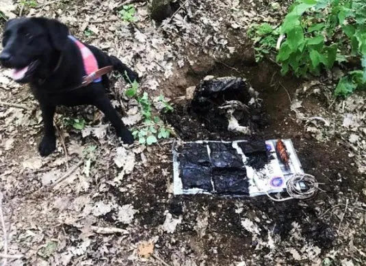 Muş’ta PKK’ya ait 60 kilogram el yapımı patlayıcı ele geçirildi! Bayram öncesi katliam hazırlığı önlendi