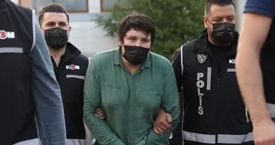 Türkiye Tosuncuk Mehmet Aydın'ın ağabeyi Fatih Aydın'ın iadesini istedi