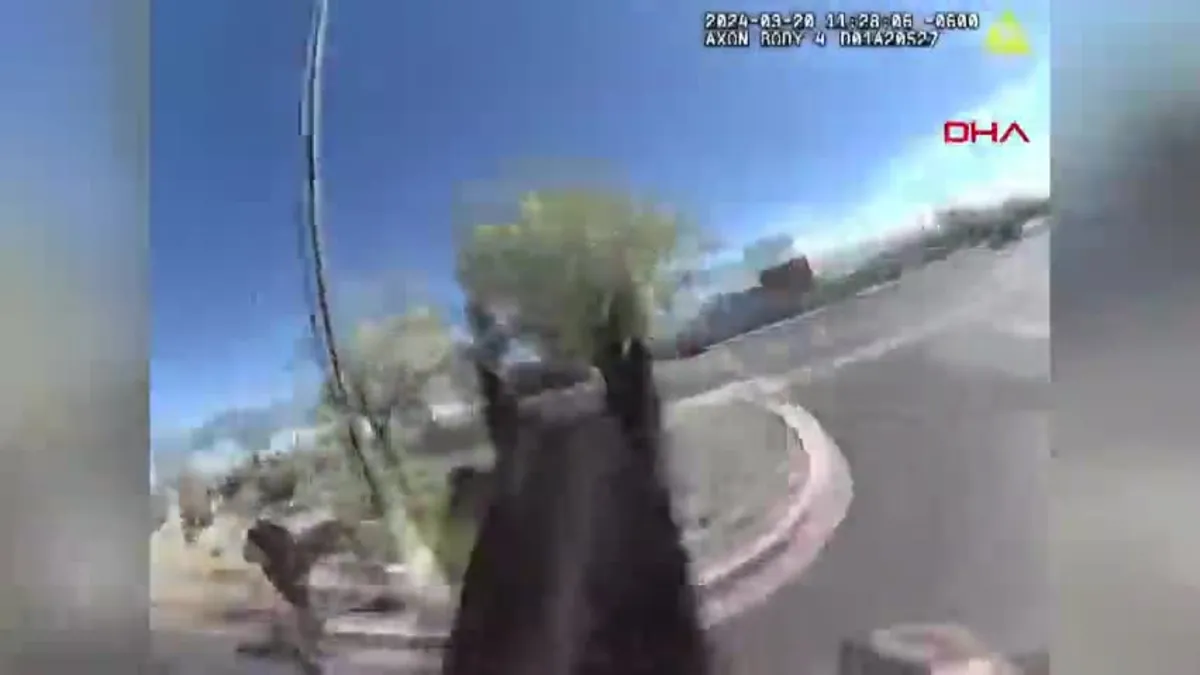 Atlı polis hırsızı böyle kovaladı