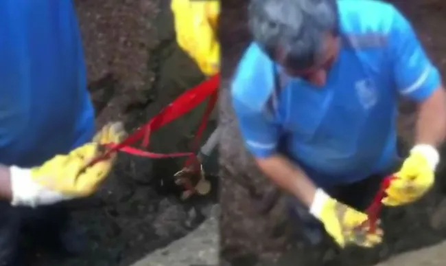 Tuvalette düşürülen 10 çeyrek altın kanalizasyonda bulundu - 1