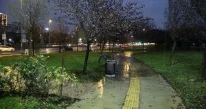 CHP yağmurda çim suladı