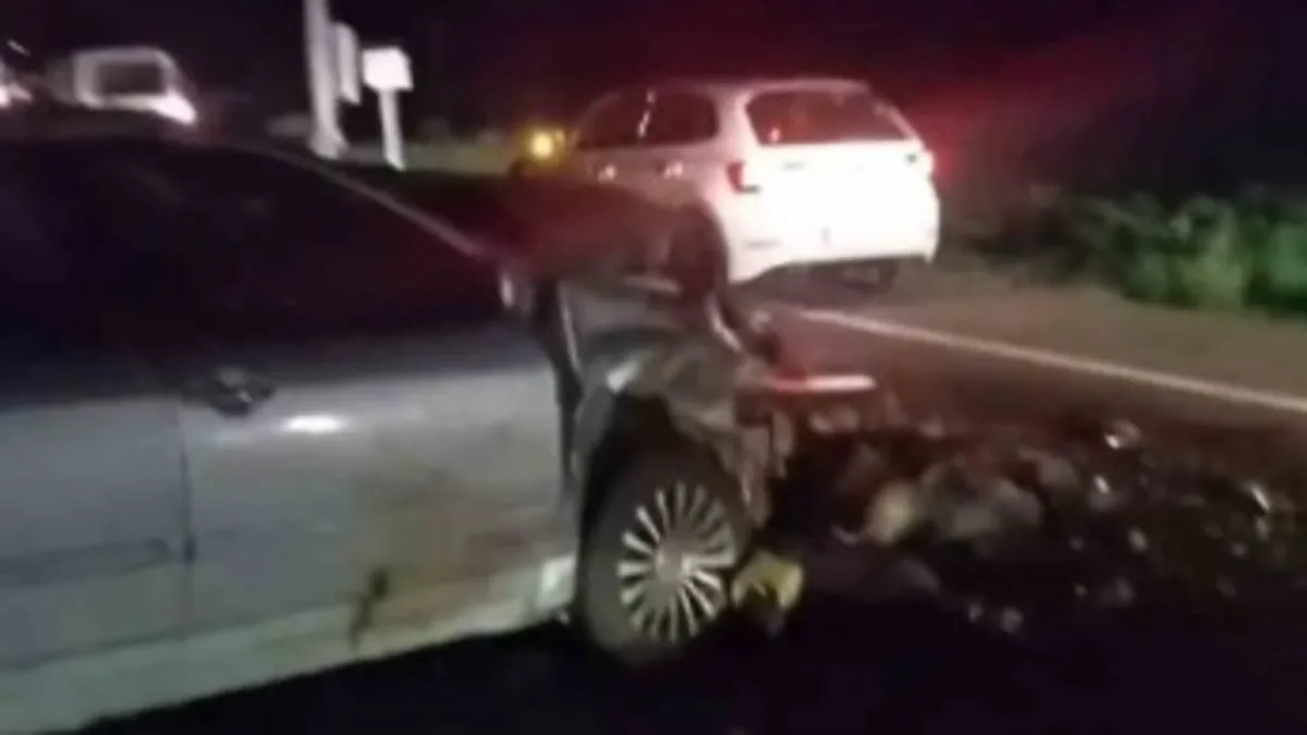 Iğdır'da otomobil sürücüsü küçükbaş hayvanlara çarptı: 25 koyun telef oldu