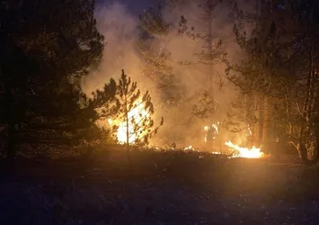 Gediz'deki orman yangını ekiplerin mücadelesiyle söndürüldü