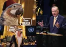 Erdoğan konuştu, Tel Aviv küplere bindi!