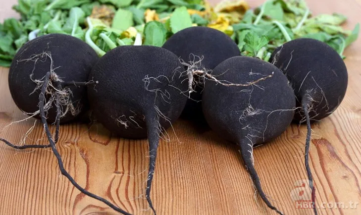 Öksürük ve bronşit için neler tüketilmeli? 1