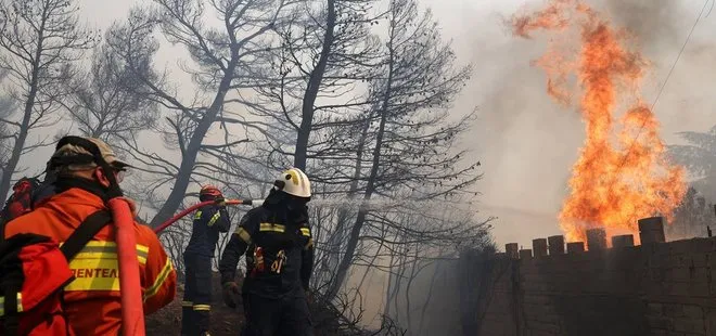 Yunanistan’da orman yangınlarına yetersiz müdahale protesto edildi