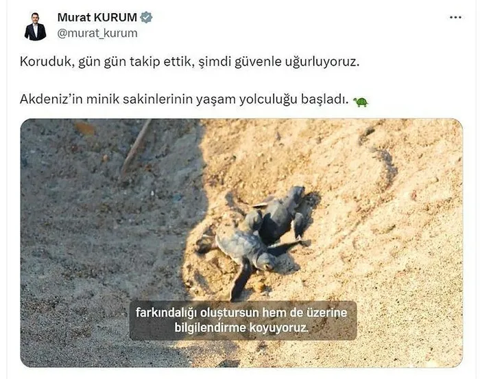 1726477101748.jpeg Binlerce deniz kaplumbağası denizle buluştu! Son yılların en yüksek sayısı - 2