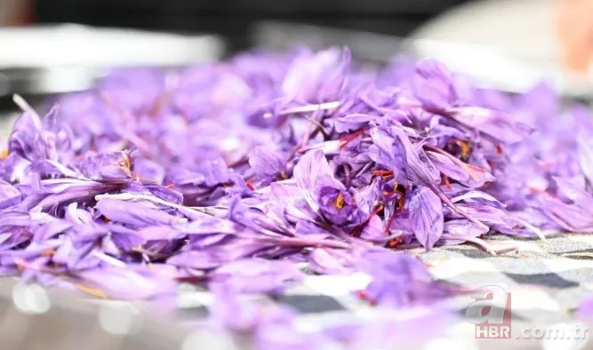 Türkiye'de bir ilk! Kilosu 450 bin TL, gram gram satılıyor: Bir avuç fiyatı şaşkına çeviriyor 6