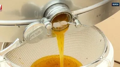 Bursa İnegöl’de bal sağımı başladı!