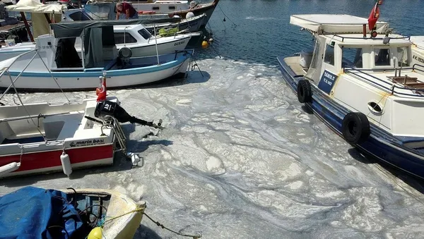 son-dakika-karar-resmi-gazetede-yayimlandi-marmara-denizi-eylem-plani-koordinasyon-kurulu-kuruldu-1623542228974.jpeg Resmi Gazete'de yayımlandı: Müsilaj sorununa devlet müdahalesi! Eylem Planı Koordinasyon Kurulu kuruldu