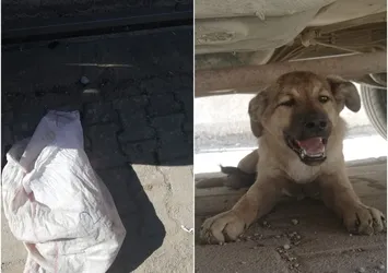 Bisikletiyle gelip yol kenarına attı! Dehşet anları