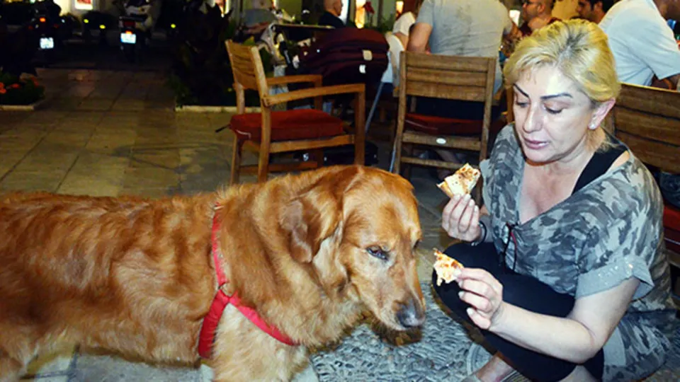 Muazzez Ersoy köpeğine pizza yedirdi