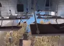 Zehir tacirlerine Narkoçelik darbesi