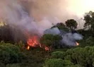 Maltepe’deki yangınla ilgili flaş gelişme