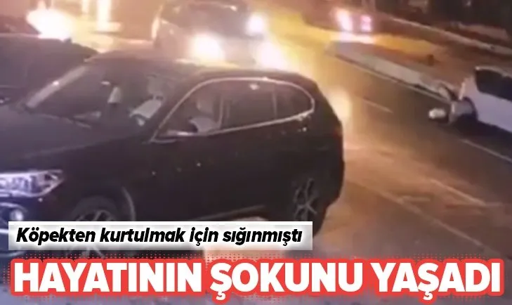 Köpekten kurtulmak isterken cinsel saldırıya uğradı