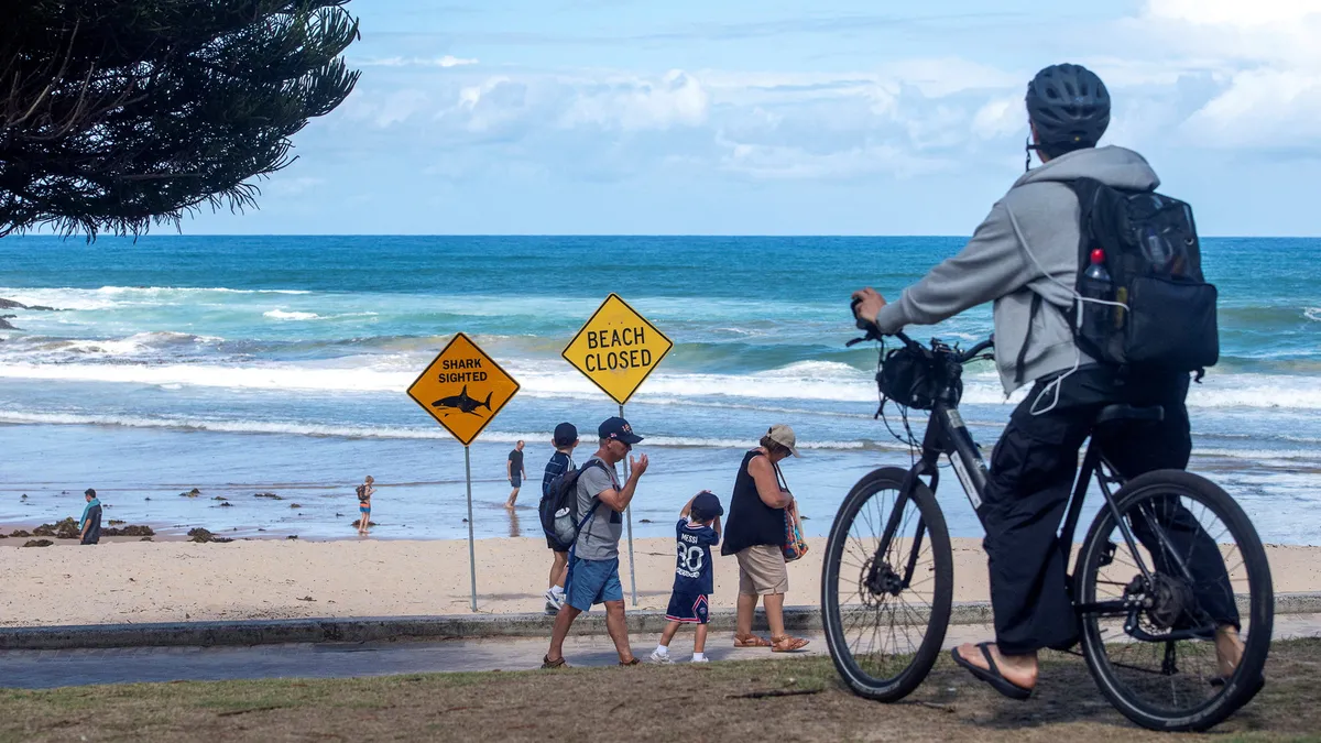 Avustralya'da art arda köpek balığı saldırıları! Onlarca plaj kapatıldı