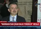 Müsilaj sonrası Marmaradan çıkan balık yenilir mi?