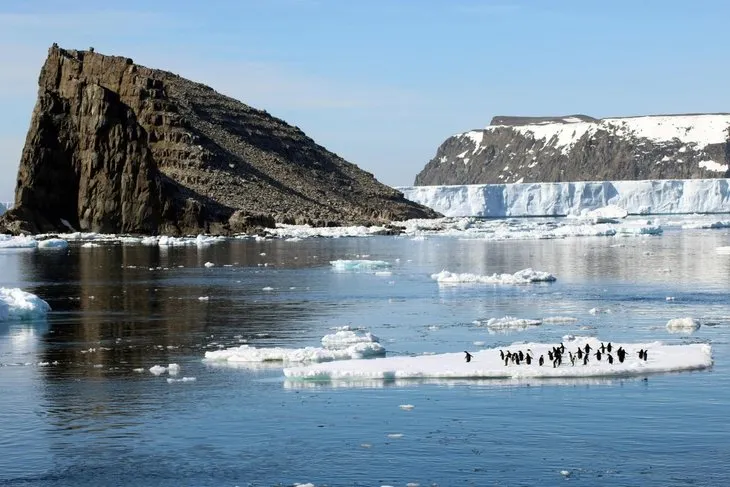 Antartika’da 1,5 milyonluk yeni penguen sürüsü keşfedildi