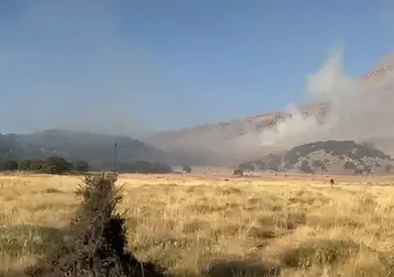 Aksaray'daki orman yangını kontrol altında