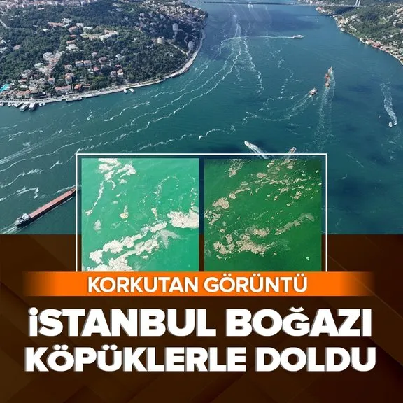 İstanbul Boğazı köpüklerle doldu! Korkutan görüntü | Müsilaj tehlikesi...