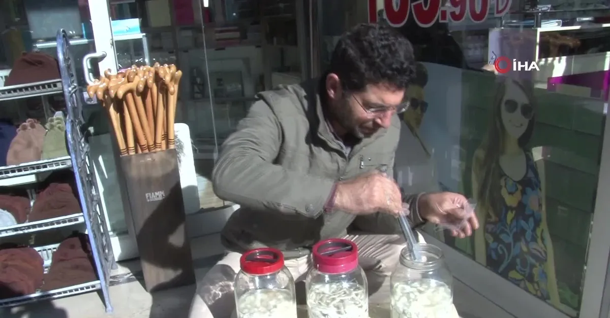 Kenger sakızının kilosu altınla yarışıyor
