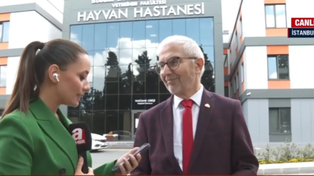 Başıboş köpek sorunu nasıl çözülecek? Hangi formüller uygulanacak? İşte A Haber’in ulaştığı teklifin taslak metni