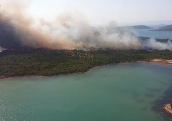 Ayvalık'ta orman yangını