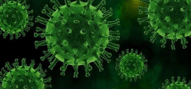 Koronavirüs hakkında korkutan haber! Daha bulaşıcı ve tehlikeli bir türü keşfedildi