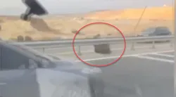 Yer Çakal Köprüsü: Bir anda yola çıktılar! Panik anları kamerada