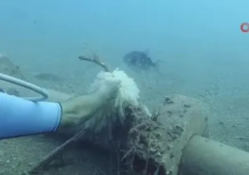 Trol teknelerin ağları kalamarı vurdu