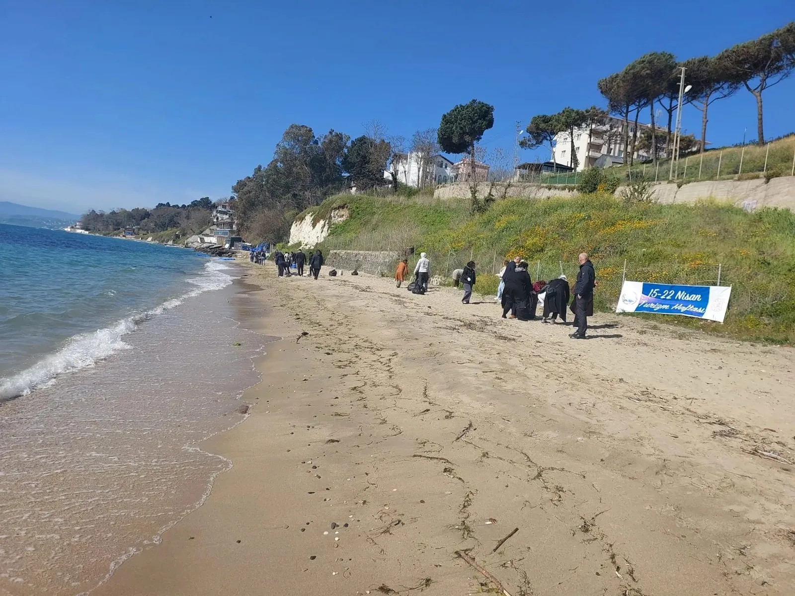 Sinop'ta sahil temizliği