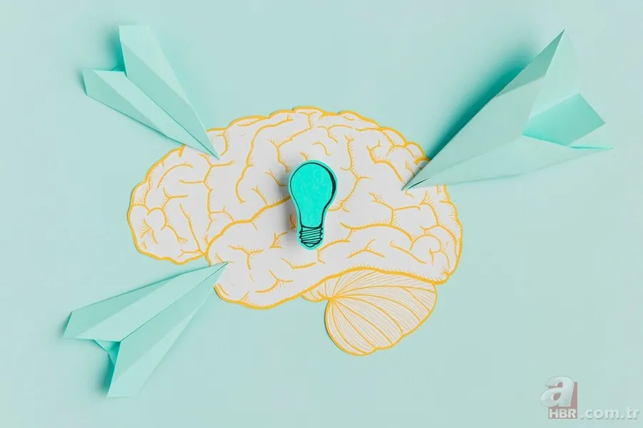 Bu kan grubuna sahip olanların zekası fişek gibi çıkıyor: A Rh (+), 0 Rh (-), AB, B, 0... 2