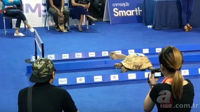 la fontaine hakli cikti