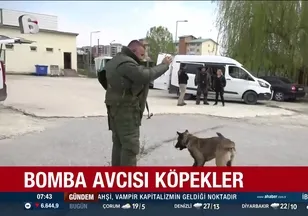 Güvenliğin dört ayaklı kahramanları