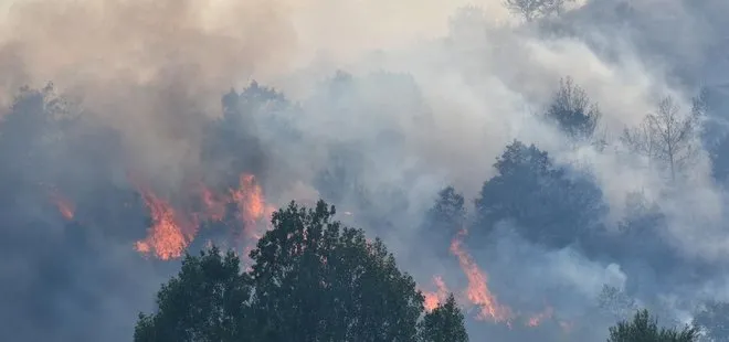 Afyonkarahisar'da dağlık alanda yangın