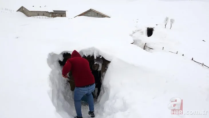 Yerdeki karla çatıdaki kar birleşti! Muş beyaz örtüyle kaplandı: Tünellerle ulaşım sağlanıyor