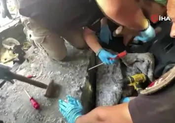 Cipte zulalanmış 82 kilo uyuşturucu ele geçirildi: 1 kişi tutuklandı