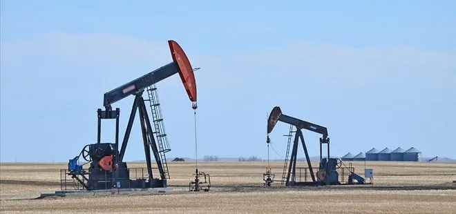 Suudi Arabistan iki yeni petrol sahası keşfetti